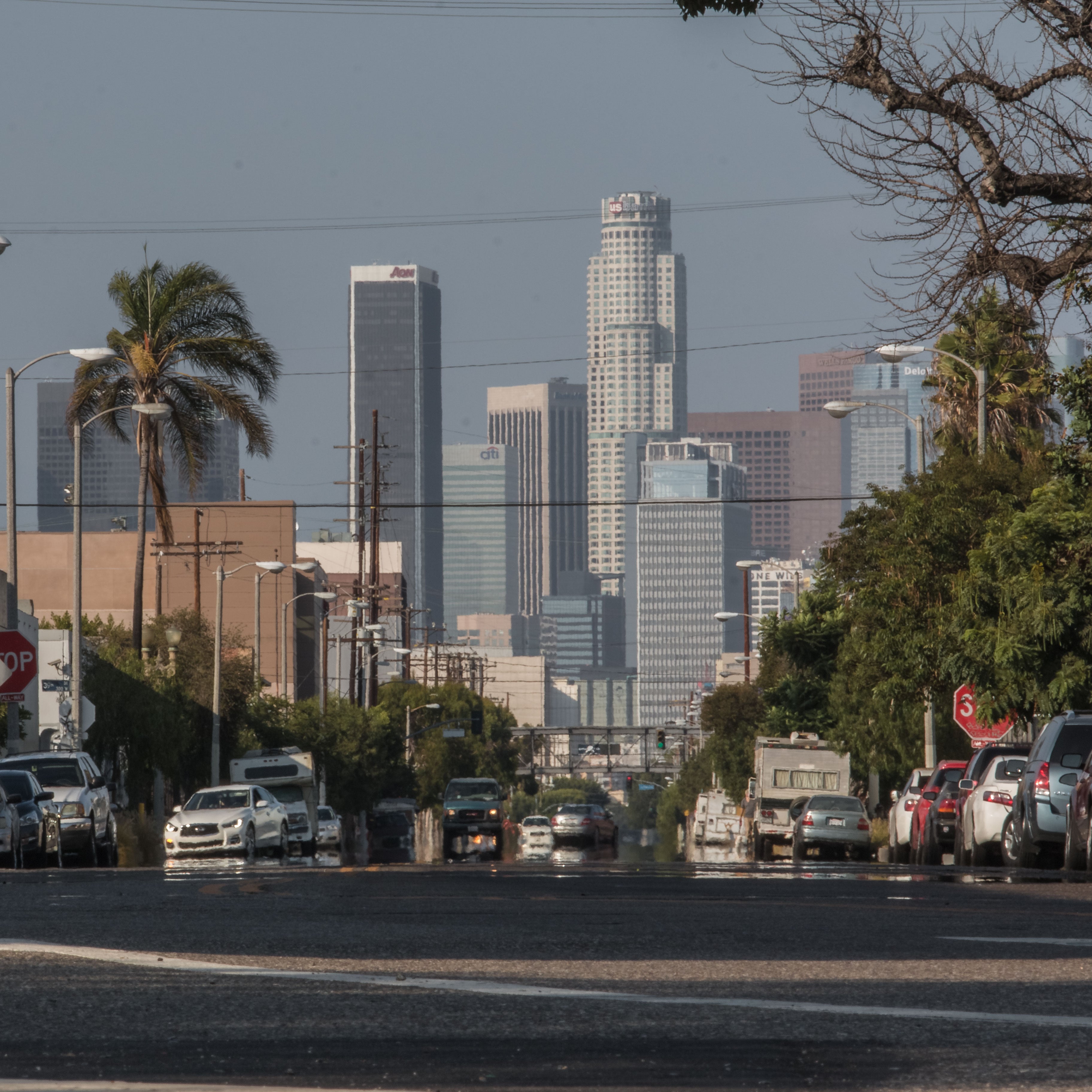 Hill and Martin Luther King Jr